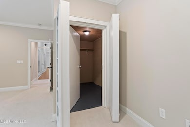 Safe room - primary suite