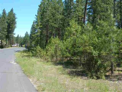28XX E Golden Rd, Spokane, WA 99208 - photo 2