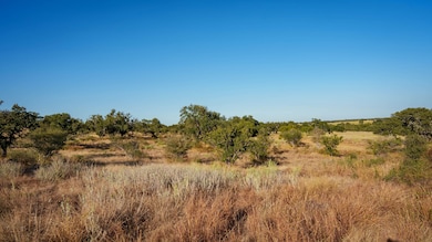 unlisted-address, Mason, TX 76856 - photo 5