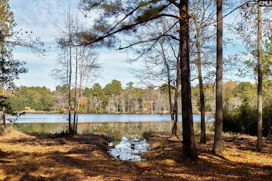 42 Brookwood Rd, Camden, SC 29020 - photo 5