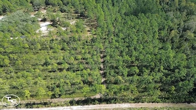 0 NE 212th Street Rd unit 11604827, Fort McCoy, FL 32134 - photo 2