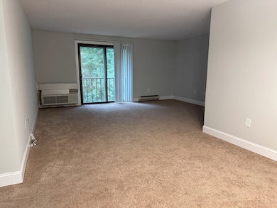 19 Village Rock Ln unit 10, Natick, MA 01760 - photo 5