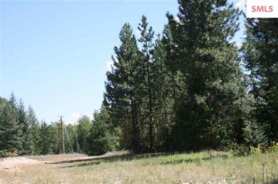 5 Larsen Ranch Ln, Sandpoint, ID 83864 - photo 3