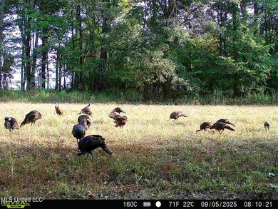 0 Curtis Rd unit 4105556, Batesville, MS 38606 - photo 5