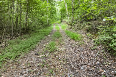 158.37 Acres | Williams Rd