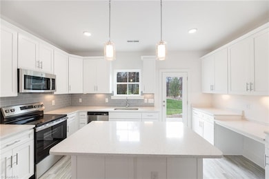 4649 Canter Park Ln, Greensboro, NC 27410 - photo 3