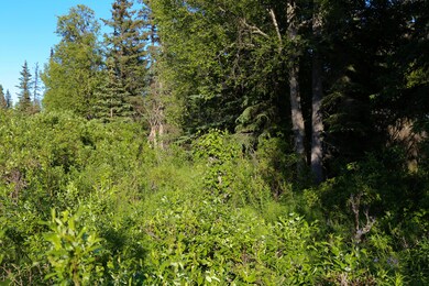 Stone River Lot 7