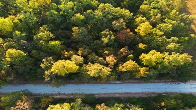 1404 Dewberry Ln, Horseshoe Bend, AR 72512 - photo 3