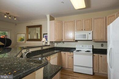 2576 Running Wolf Trail, Odenton, MD 21113 - photo 5