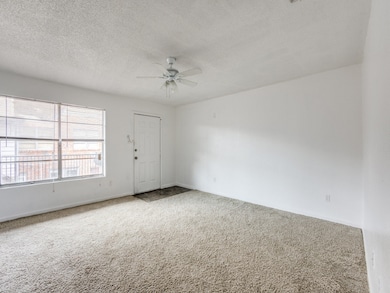 1711 Wichita St unit 14, Houston, TX 77004 - photo 5