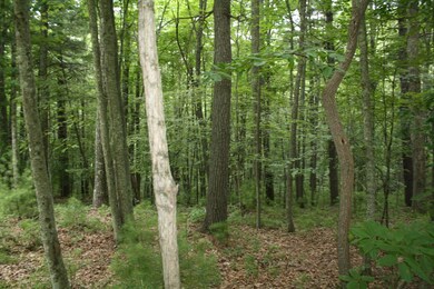 IMG_8516