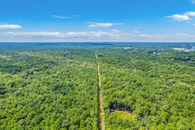 2 Shadow Pond Rd, Johns Island, SC 29455 - photo 5