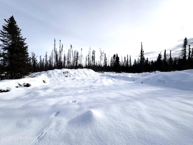 GOV S Leroy Davies Rd, Talkeetna, AK 99676 - photo 2