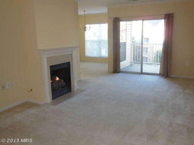 The Pavillion unit 312, Falls Church, VA 22043 - photo 4