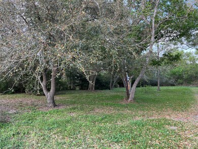 Another view up near the front of the property. Coward Creek Crossing is just across the creek.