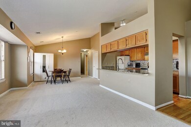 2701 Snowbird Terrace unit 916, Silver Spring, MD 20906 - photo 4