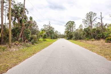 1081 Sherwin St, Port Charlotte, FL 33953 - photo 6