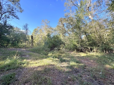 2080 County Road 1100, Woodville, TX 75979 - photo 6