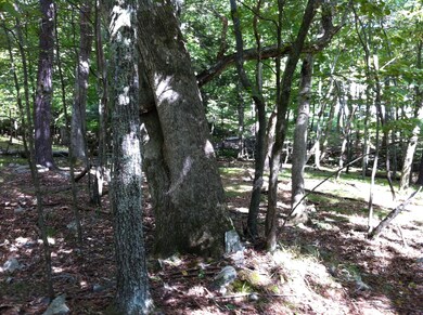 222 Rabbit Ct, Lehman Township, PA 18324 - photo 7