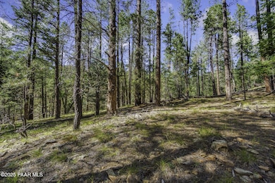 00 S Comstock Mine Rd, Prescott, AZ 86303 - photo 3