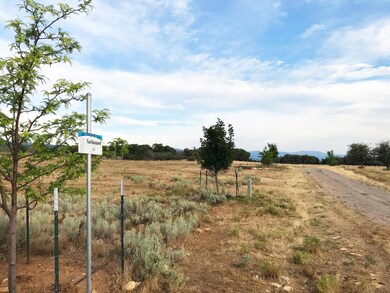 23050 N 12018 E unit 1, Fairview, UT 84629 - photo 2