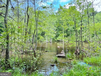 193 Griswoldville Shortcut, Macon, GA 31217 - photo 5