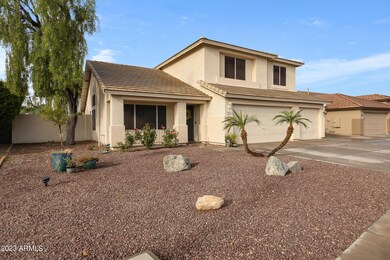 Easy Care Landscape