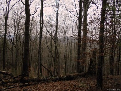 0 Hardscrabble Rd, Cane River, NC 28714 - photo 7