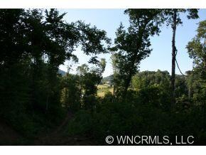 9999 N Turkey Creek Rd, Leicester, NC 28768 - photo 7