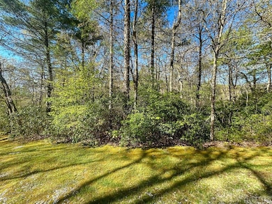 C1 Falling Water Dr, Highlands, NC 28741 - photo 2