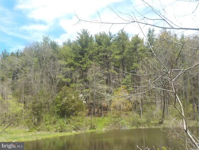 0 Township Line Rd, Bechtelsville, PA 19505 - photo 2