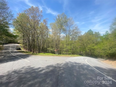 TBD Elaqua Ct unit 54 & 55A/26, Brevard, NC 28712 - photo 7