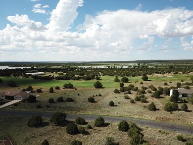 DJI_0003