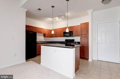 12900 Centre Park Cir unit 403, Herndon, VA 20171 - photo 4