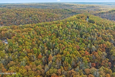 6-web-or-mls-461 E Cove Rd, Monterey_039