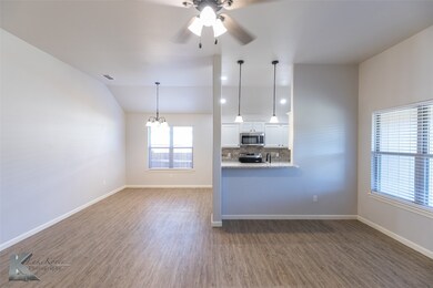 1935 Trigger Happy Tr, Abilene, TX 79602 - photo 6