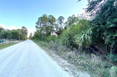 Looking south.  1.25 acre on the right.
