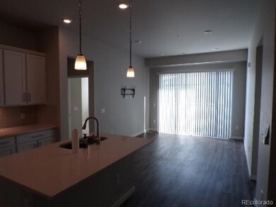 420 E Fremont Place unit 408, Centennial, CO 80122 - photo 5