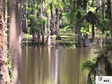 9064 Desiard Trace, Sterlington, LA 71280 - photo 5