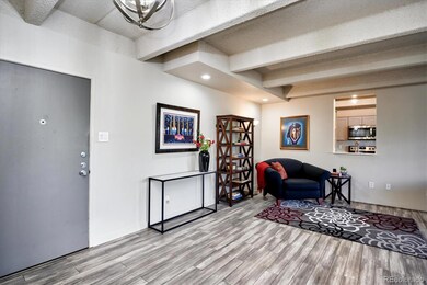 Large entry from front door