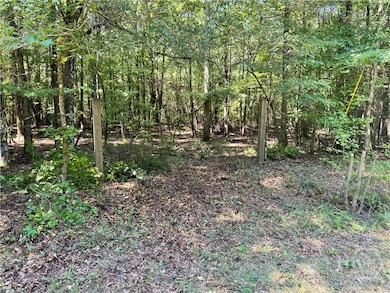 0 Hwy 29 N unit CL335575, Danielsville, GA 30633 - photo 6