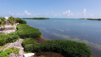 Open Water View