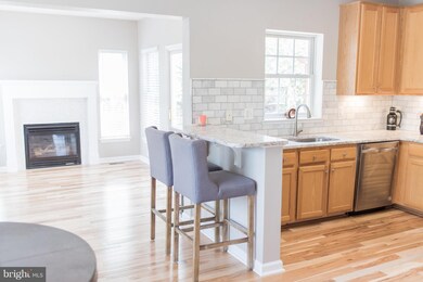 43455 Katling Square, Chantilly, VA 20152 - photo 5