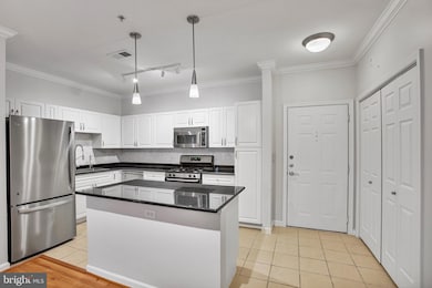 Bryson At Woodland Park unit 203, Herndon, VA 20171 - photo 3