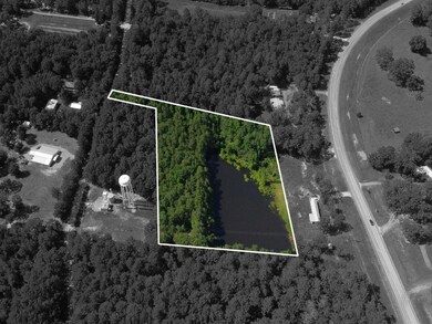 TBD Hudson Rd, Pollock, LA 71467 - photo 7