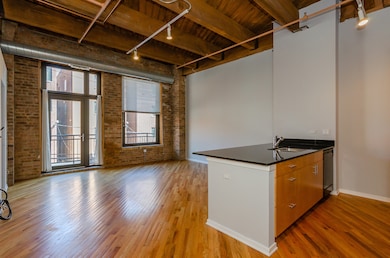 No. Ten Lofts unit 257, Chicago, IL 60607 - photo 6