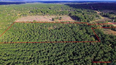 TBD Liberty Rd unit 36.6 ac, Harleton, TX 75651 - photo 4