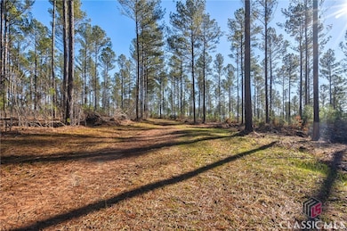 0 Faust Farm Rd, Crawford, GA 30630 - photo 5