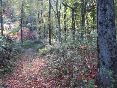 0 McGrery Rd SE unit 217035895, Lancaster, OH 43130 - photo 3