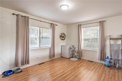 1010 E 3rd St, Pana, IL 62557 - photo 4